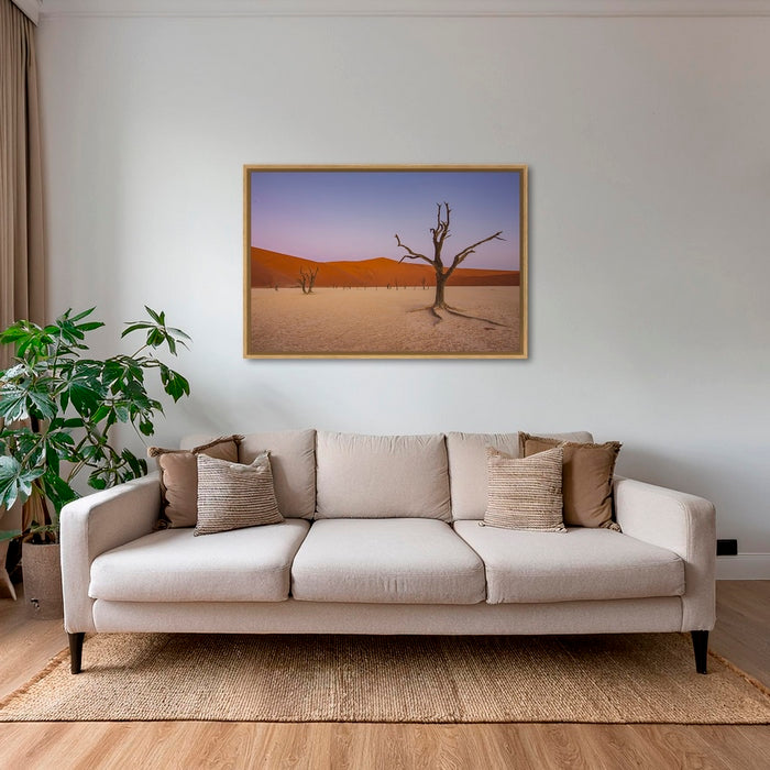 Douce lumière sur le Deadvlei 3