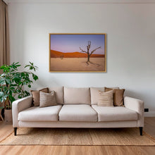 Charger l&#39;image dans la galerie, Douce lumière sur le Deadvlei 3
