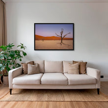 Charger l&#39;image dans la galerie, Douce lumière sur le Deadvlei 3
