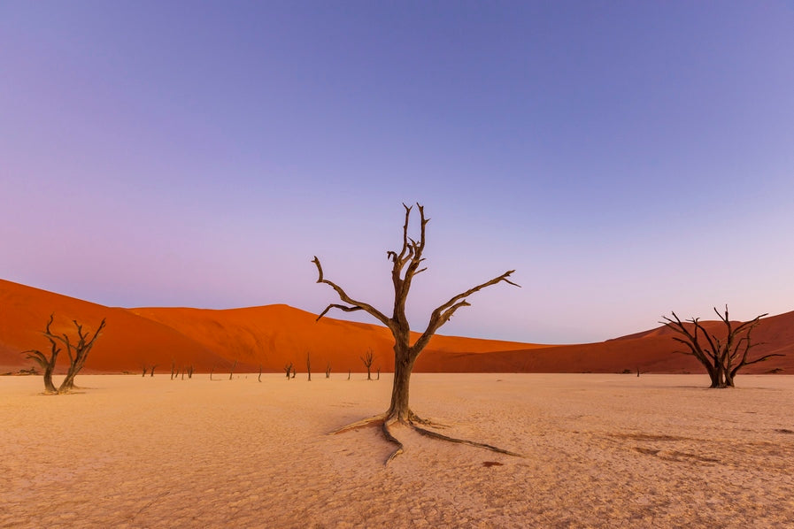 Douce lumière sur le Deadvlei 2