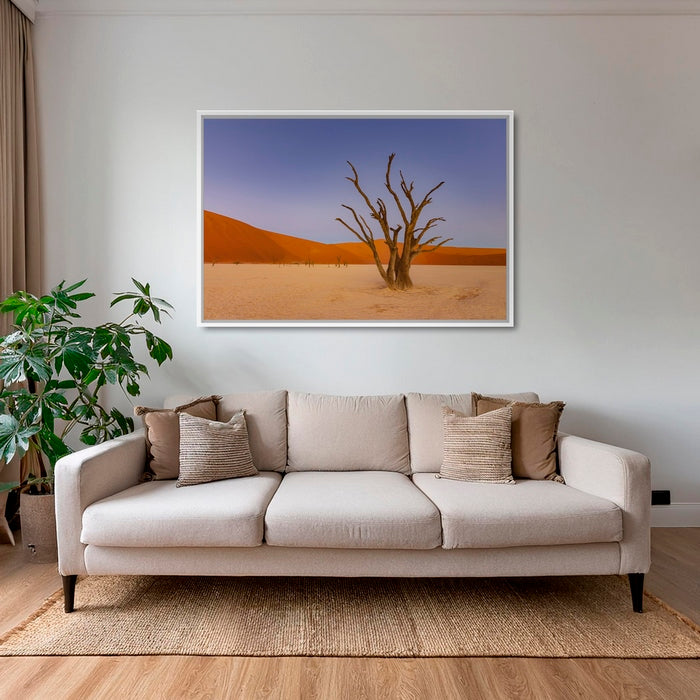 Douce lumière sur le Deadvlei
