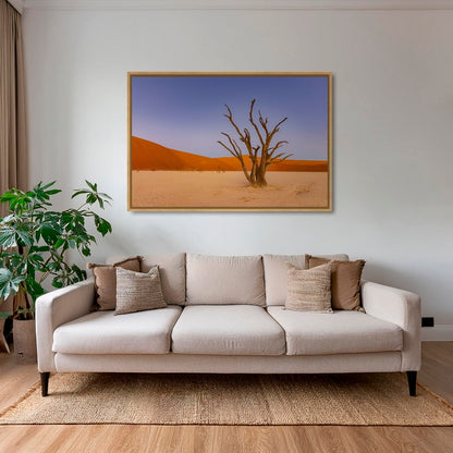 Douce lumière sur le Deadvlei
