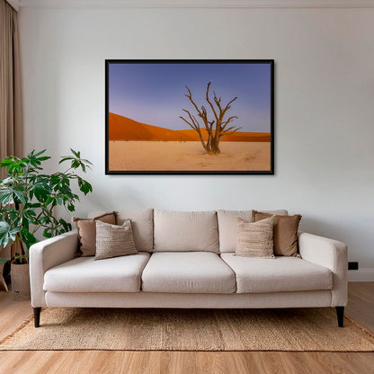 Douce lumière sur le Deadvlei