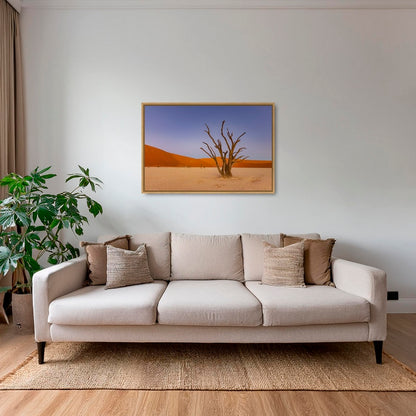 Douce lumière sur le Deadvlei