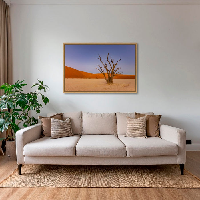 Douce lumière sur le Deadvlei