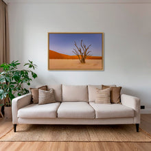 Charger l&#39;image dans la galerie, Douce lumière sur le Deadvlei
