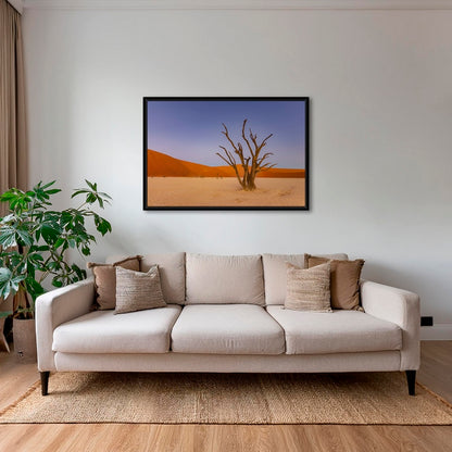 Douce lumière sur le Deadvlei