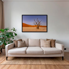 Charger l&#39;image dans la galerie, Douce lumière sur le Deadvlei
