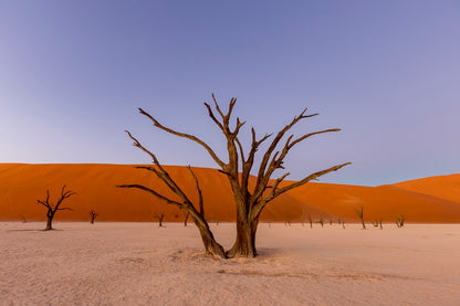 Douce lumière sur le Deadvlei 4