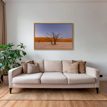 Douce lumière sur le Deadvlei 4