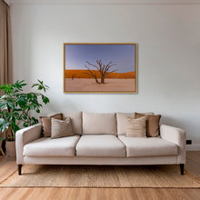 Charger l&#39;image dans la galerie, Douce lumière sur le Deadvlei 4
