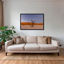 Charger l&#39;image dans la galerie, Douce lumière sur le Deadvlei 4
