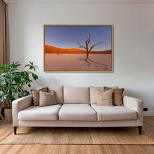 Charger l&#39;image dans la galerie, Douce lumière sur le Deadvlei 5
