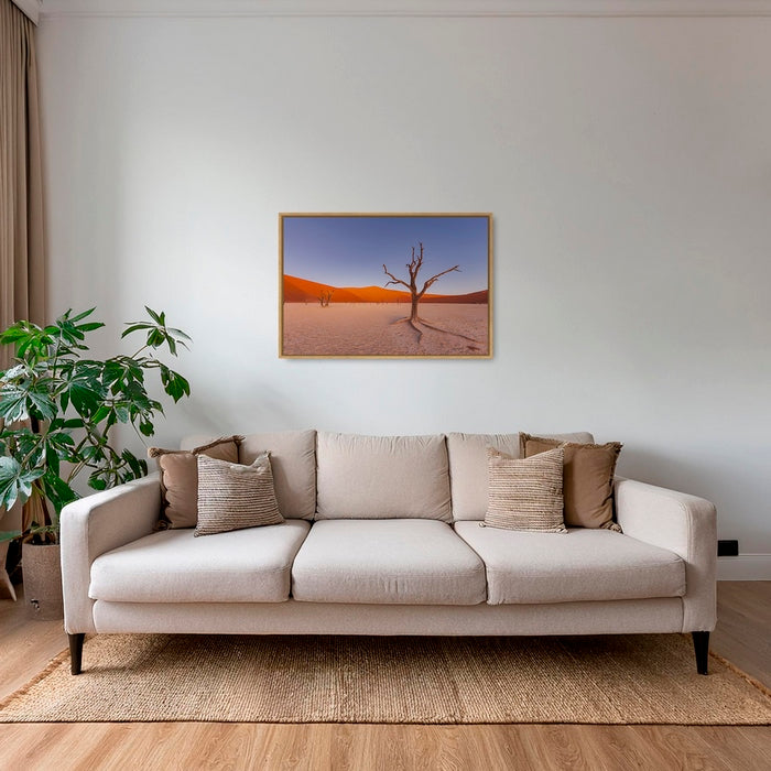 Douce lumière sur le Deadvlei 5
