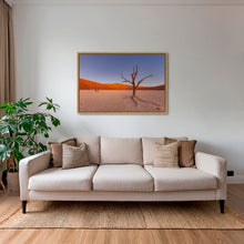 Charger l&#39;image dans la galerie, Douce lumière sur le Deadvlei 5
