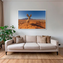 Charger l&#39;image dans la galerie, Raphicère champetre
