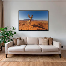 Charger l&#39;image dans la galerie, Raphicère champetre
