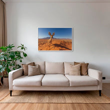 Charger l&#39;image dans la galerie, Raphicère champetre
