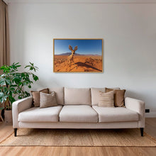 Charger l&#39;image dans la galerie, Raphicère champetre
