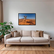 Charger l&#39;image dans la galerie, Raphicère champetre
