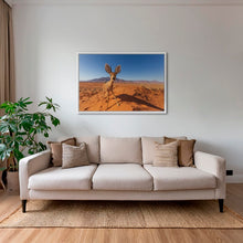 Charger l&#39;image dans la galerie, Raphicère champetre
