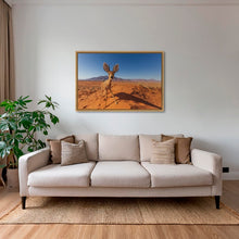 Charger l&#39;image dans la galerie, Raphicère champetre
