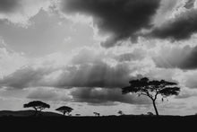Charger l&#39;image dans la galerie, Eternel Serengeti
