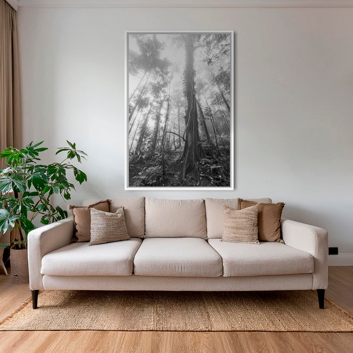 Forêt en clair obscur
