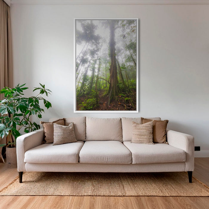 Forêt en clair obscur 2