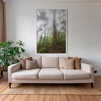 Forêt en clair obscur 2