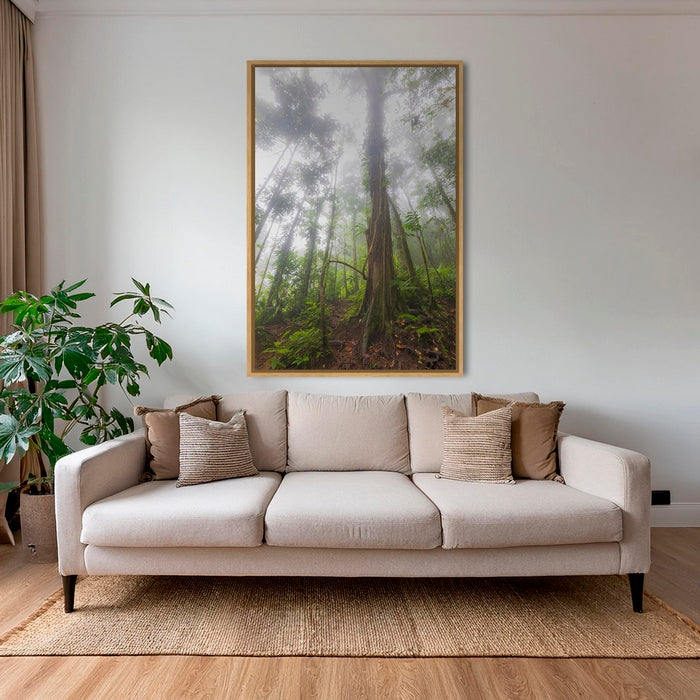 Forêt en clair obscur 2