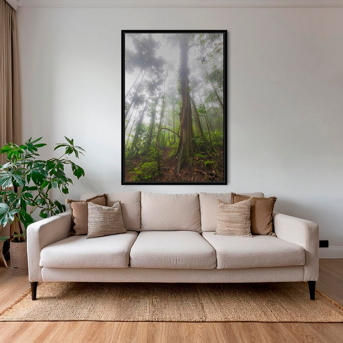 Forêt en clair obscur 2