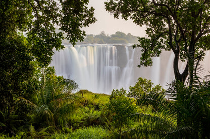 À travers la jungle H
