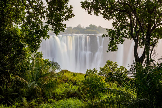 À travers la jungle H