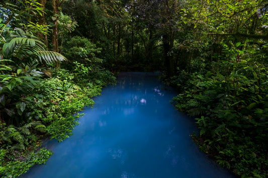 Paradis caché
