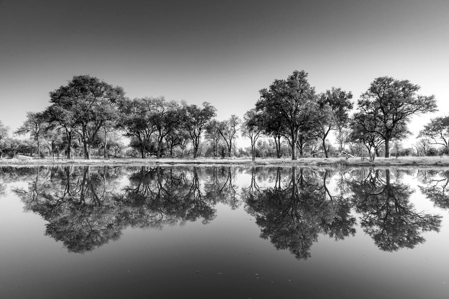 Reflets du delta