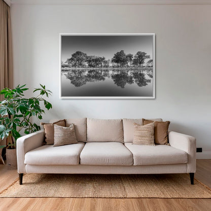 Reflets du delta