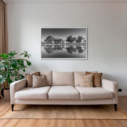 Reflets du delta