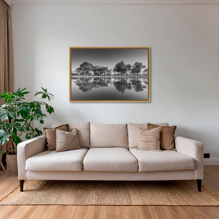 Reflets du delta