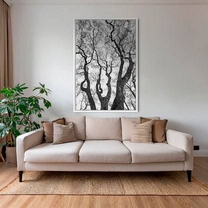 Graphisme d'arbre