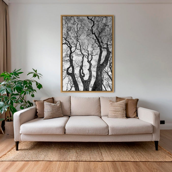 Graphisme d'arbre