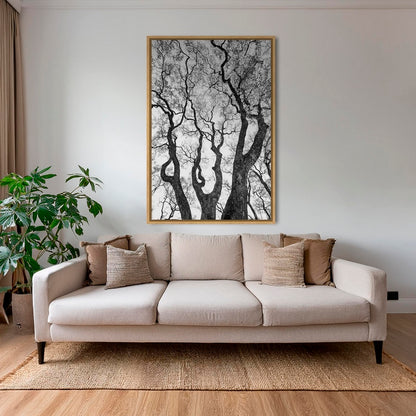 Graphisme d'arbre