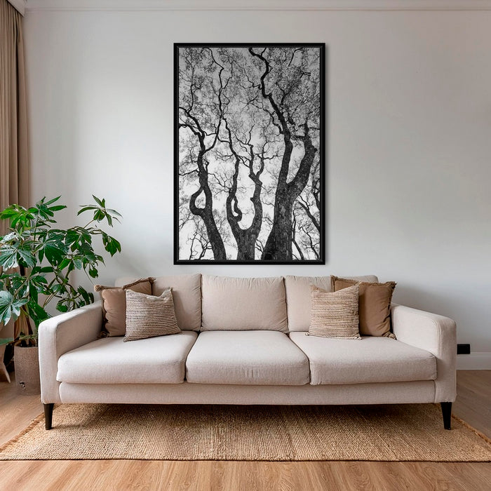 Graphisme d'arbre