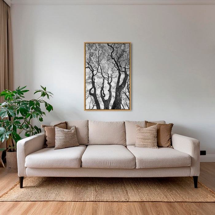 Graphisme d'arbre
