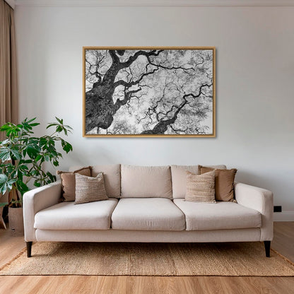 Graphisme d'arbre 3