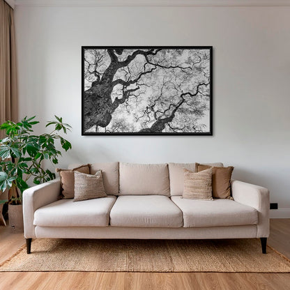 Graphisme d'arbre 3