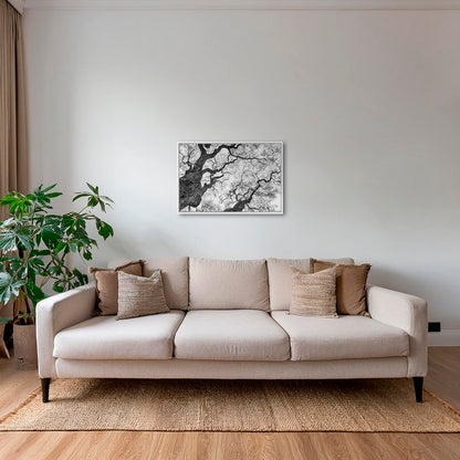 Graphisme d'arbre 3