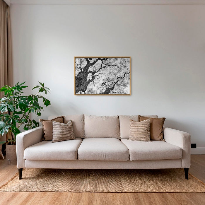 Graphisme d'arbre 3