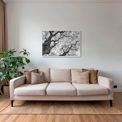Graphisme d'arbre 3