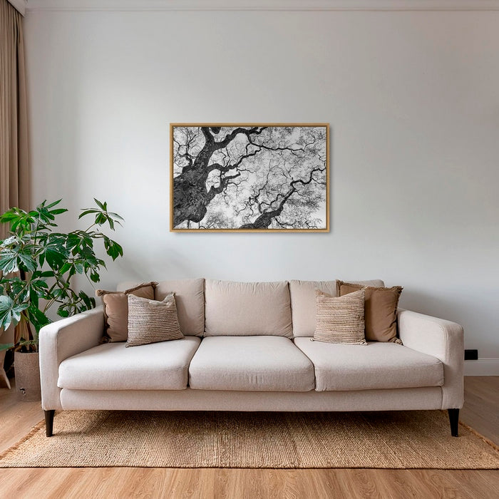 Graphisme d'arbre 3